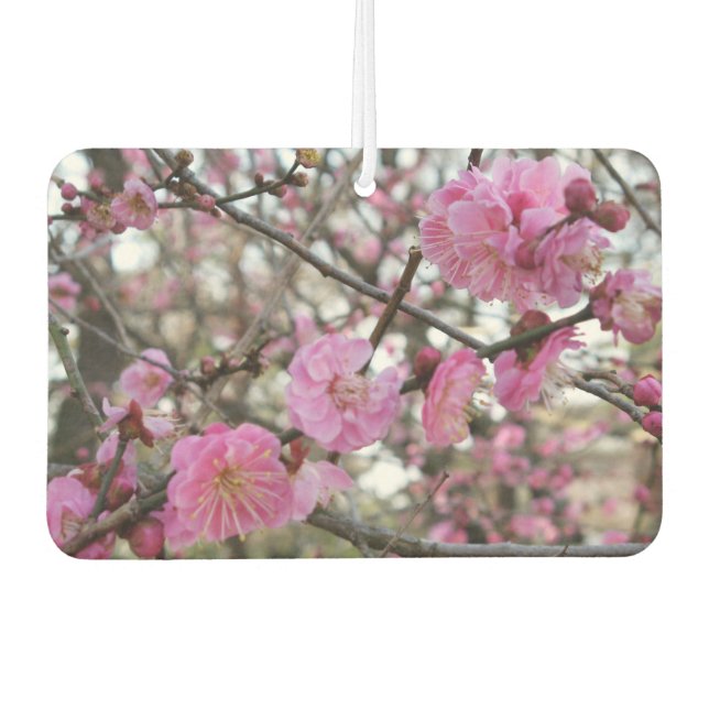 Pink Cherry Blossom / Sakura / サクラ（桜) Car Air Freshener (Front)