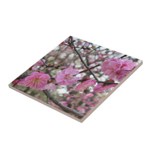 Pink Cherry Blossom / Sakura / サクラ（桜) Ceramic Tile