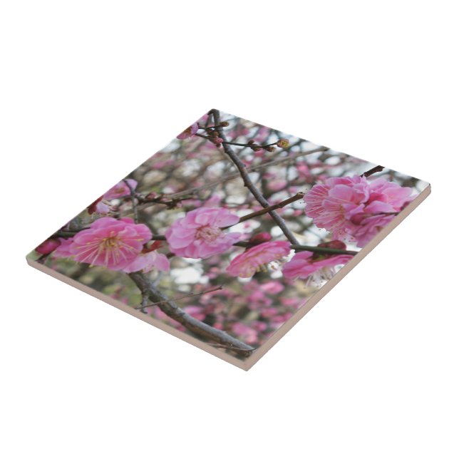 Pink Cherry Blossom / Sakura / サクラ（桜) Ceramic Tile (Side)