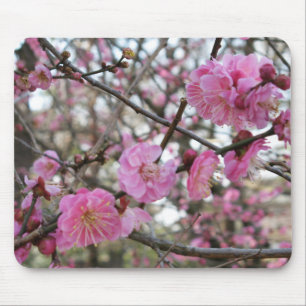 Pink Cherry Blossom / Sakura / サクラ(桜) Mouse Pad