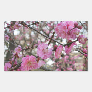 Pink Cherry Blossom / Sakura / サクラ(桜) Rectangular Sticker