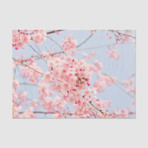 Pink Cherry Blossom Tissue Paper