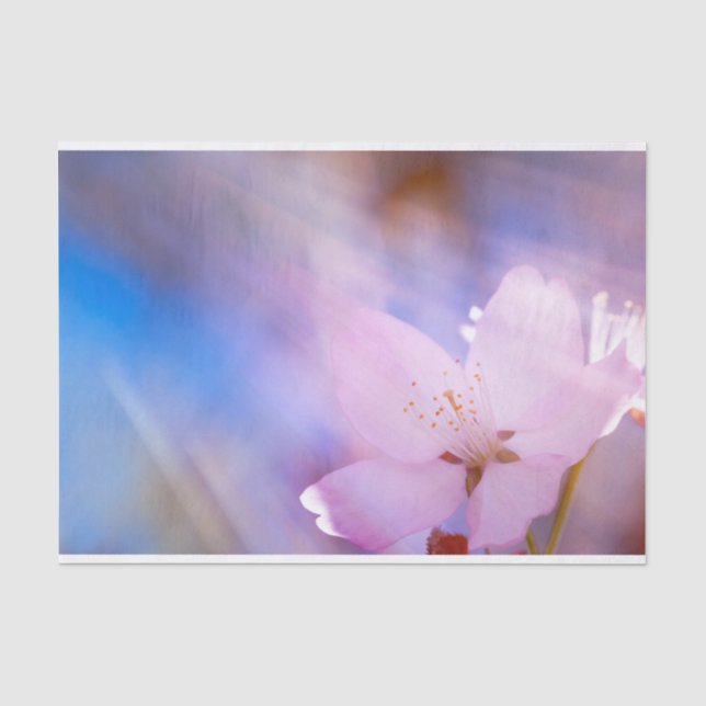 Pink cherry blossom tissue paper (Front)