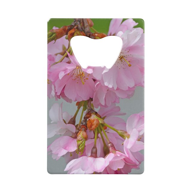Pink cherry blossoms (Front)