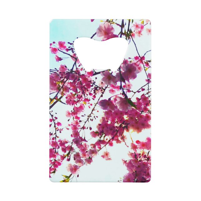 Pink Cherry blossoms (Front)