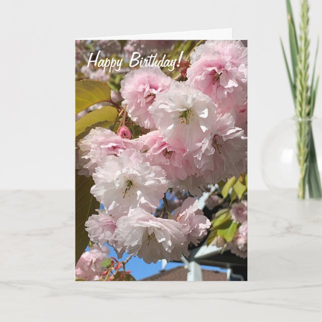 Pink Cherry Blossoms Birthday Card (Front)