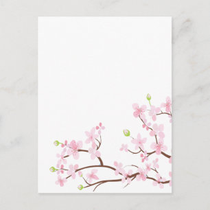 Pink Cherry Blossoms Blank Postcard