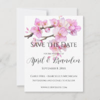 Pink cherry blossoms elegant calligraphy script
