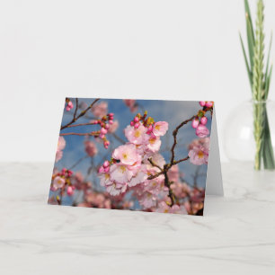Pink cherry blossoms greeting card
