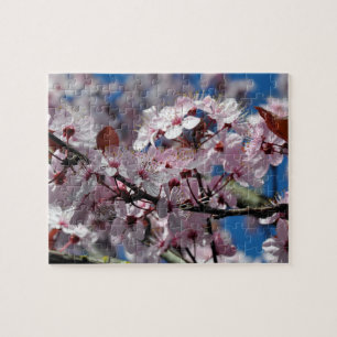 Pink cherry blossoms jigsaw puzzle