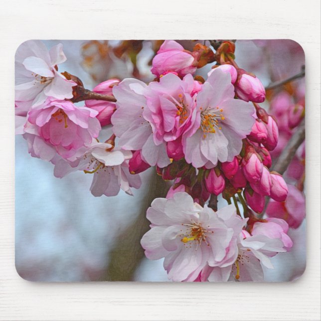 Pink cherry blossoms mouse pad (Front)