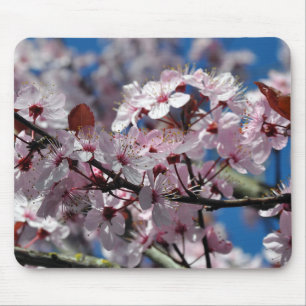 Pink cherry blossoms mouse pad