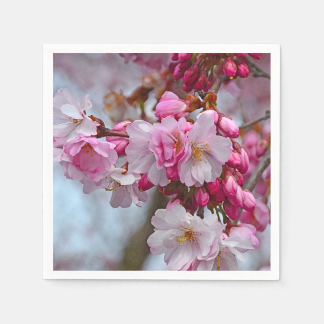 Pink cherry blossoms napkin (Front)