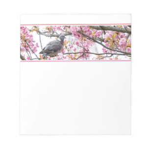 Pink Cherry Blossoms Pigeon Notepad