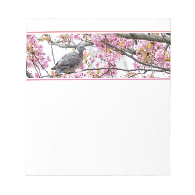 Pink Cherry Blossoms Pigeon Notepad (Front)