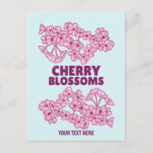 Pink cherry blossoms