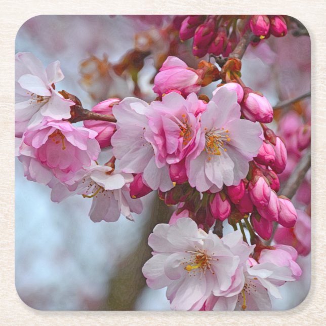 Pink cherry blossoms square paper coaster (Front)