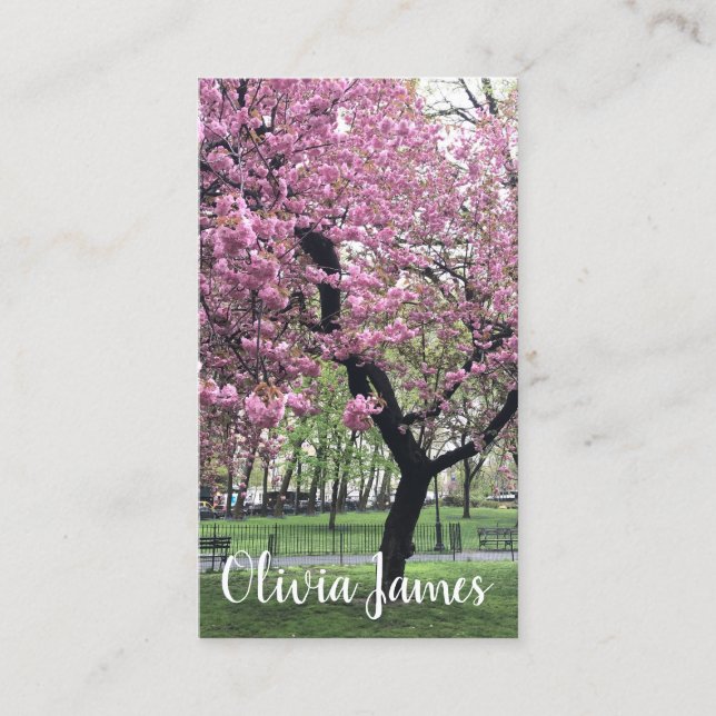 Pink Cherry Tree Blossoms Floral Nature Photograph Business Card (Front)