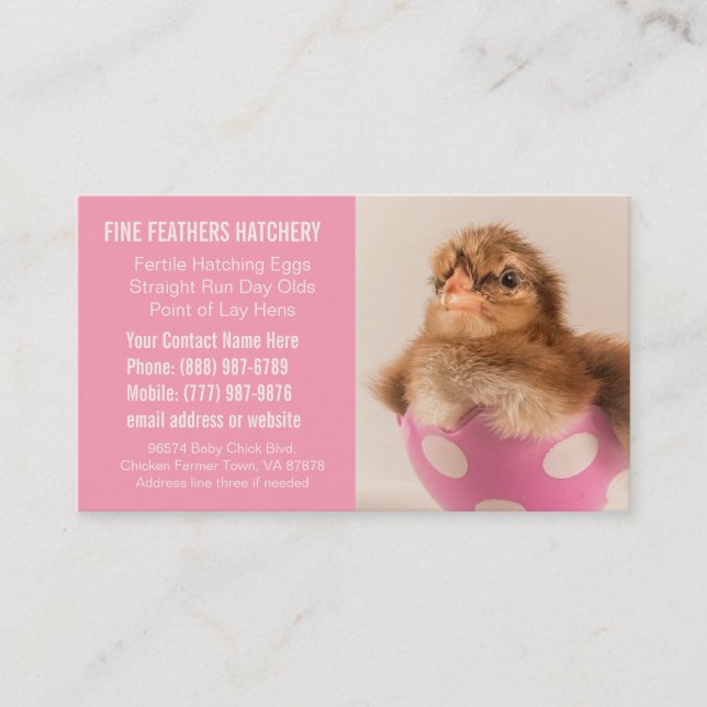 Pink Chick Hatchery Business for Women Card (Front)