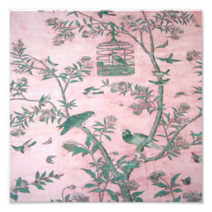 Pink Chinoiserie  Photo Print