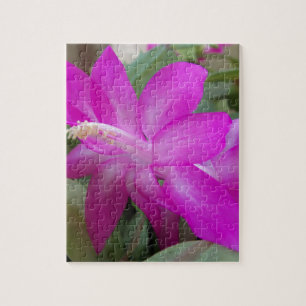 Pink Christmas cactus bloom Jigsaw Puzzle