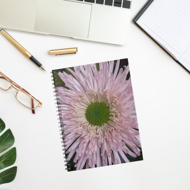 Pink Chrysanthemum Bloom Floral Notebook (In Situ)