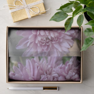 Pink Chrysanthemum Floral Photo Tissue Paper