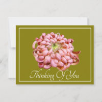 Pink Chrysanthemum Green Bckground Thinking Of You