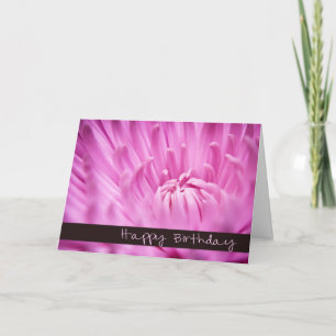 Pink Chrysanthemum Happy Birthday Card