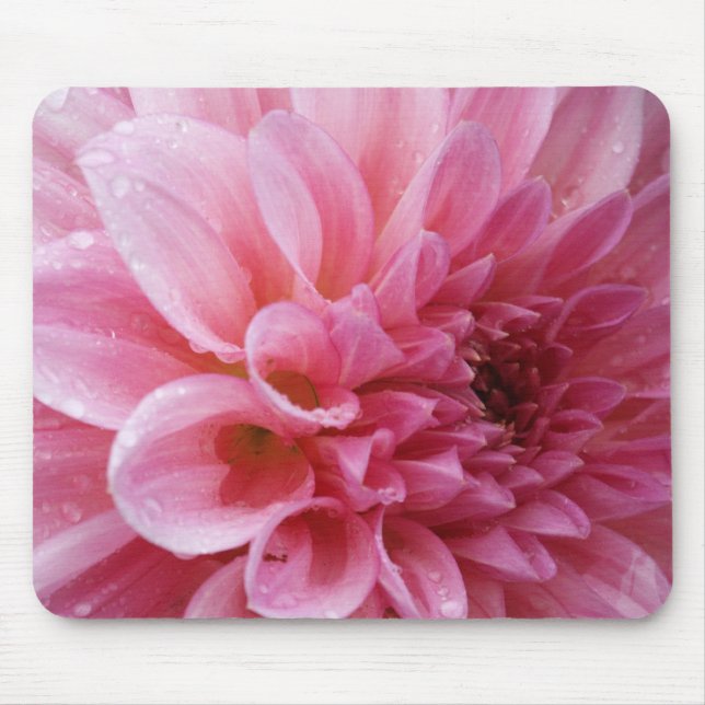 Pink Chrysanthemum Mousepad (Front)