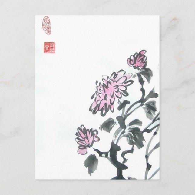 Pink Chrysanthemums Postcard (Front)