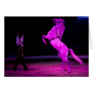 Pink Circus Horse