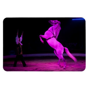 Pink Circus Horse Magnet