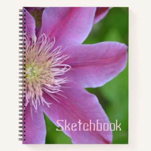 Pink Clematis Sketch Notebook
