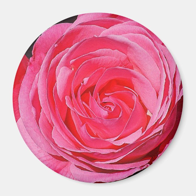 Pink Climbing Rose Magnet (Front)