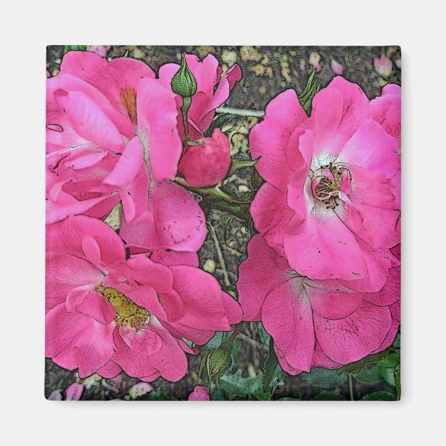 Pink Climbing Rose Magnet (Front)