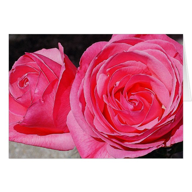 Pink Climbing Roses (Front Horizontal)