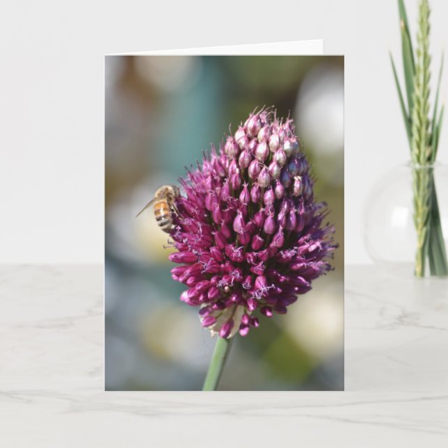 Pink Clover Card (Front)