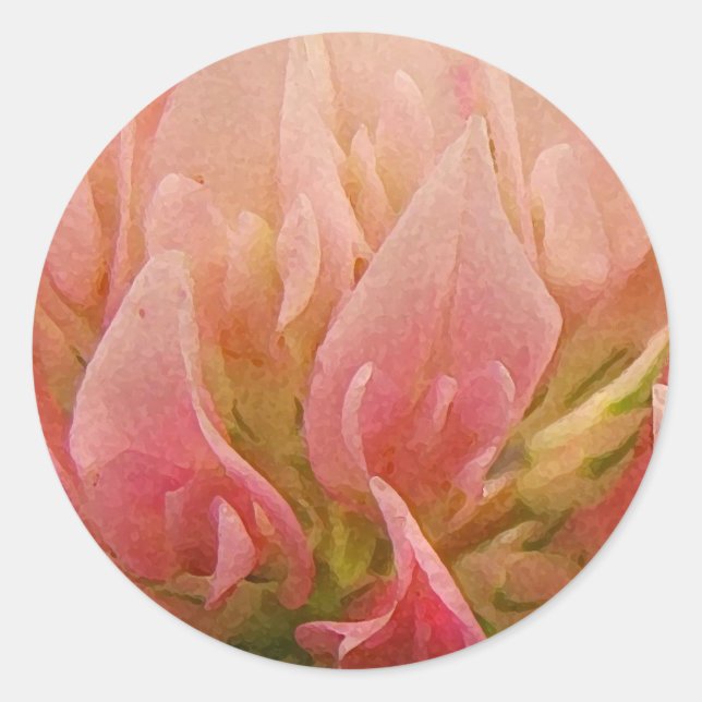 Pink Clover Classic Round Sticker (Front)