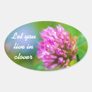 Pink clover flower oval sticker