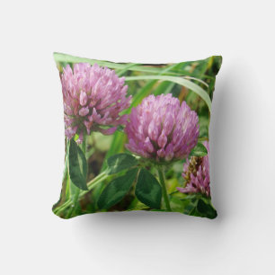 Pink Clover Wildflower - Trifolium pratense Cushion