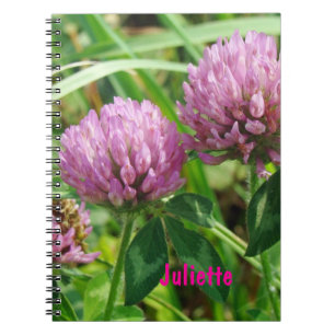 Pink Clover Wildflower - Trifolium pratense Notebook