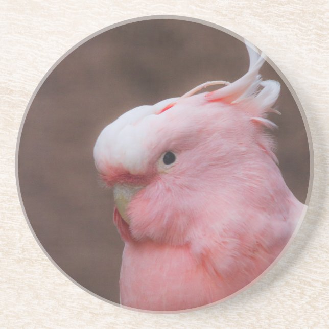 Pink Cockatoo Coaster (Front)