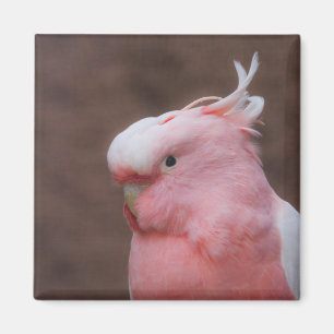 Pink Cockatoo Magnet