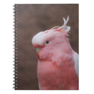 Pink Cockatoo Notebook