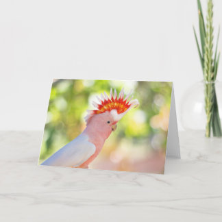 Pink Cockatoo with Love-fire Mohawk Card