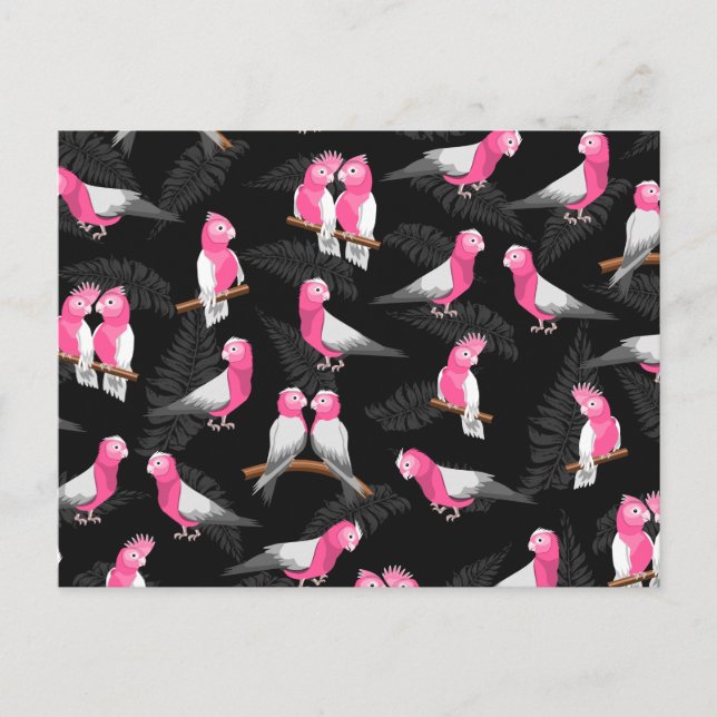 Pink cockatoos bird pattern postcard (Front)