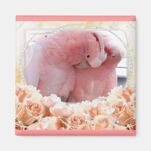 Pink Cockatoos Magnet