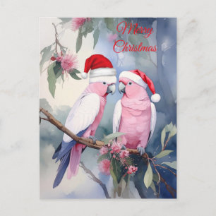 Pink Cockatoos Santa Hat Merry Christmas Postcard