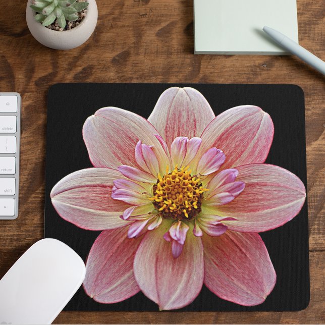Pink Collarette Dahlia on Black Floral Mouse Pad (In Situ)